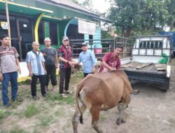 Panitia kegiatan Resolusi 2019 terima dua ekor sapi